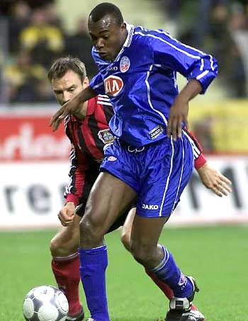 归又将带来 归又将带来